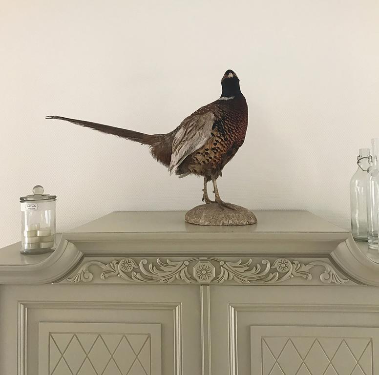 Vita Huset B&B Soelvesborg Exteriér fotografie